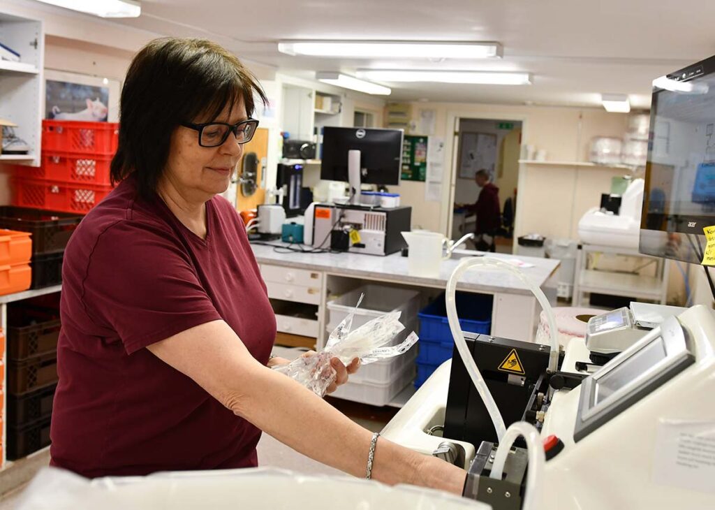 Annelie i Labbet Hudaryd